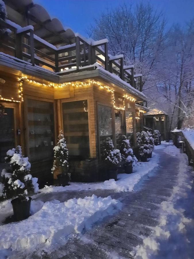 Skay Loft Acomodação com café da manhã Braşov Exterior foto