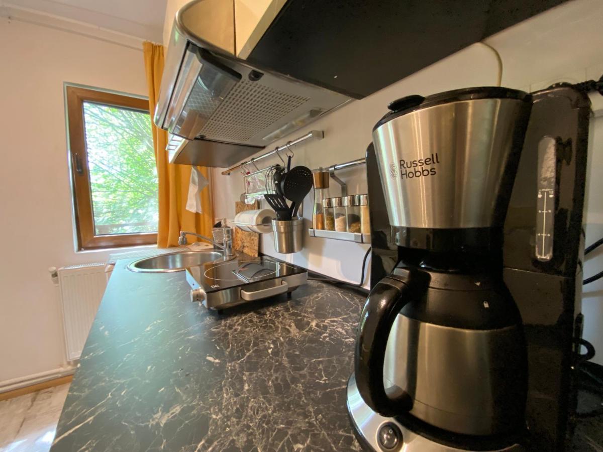 Skay Loft Acomodação com café da manhã Braşov Exterior foto