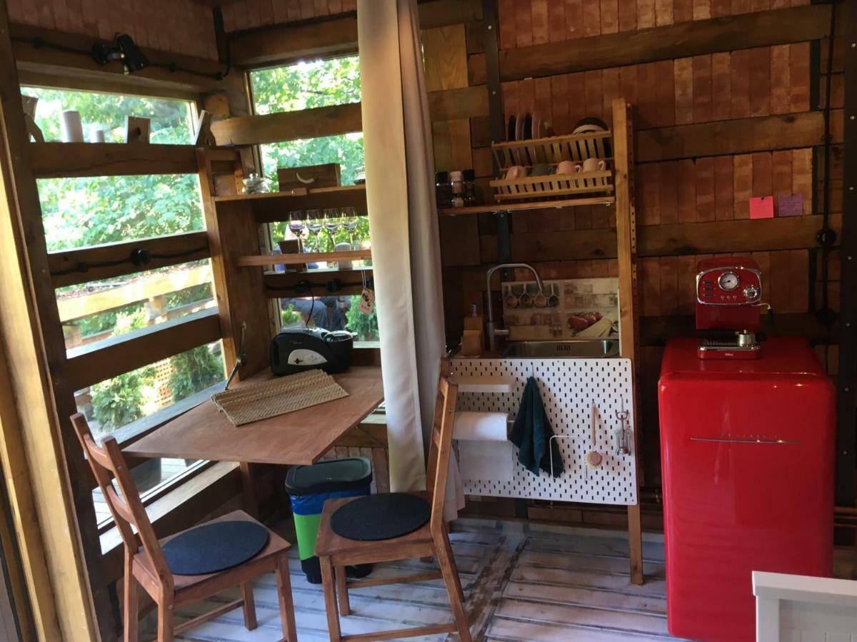 Skay Loft Acomodação com café da manhã Braşov Exterior foto